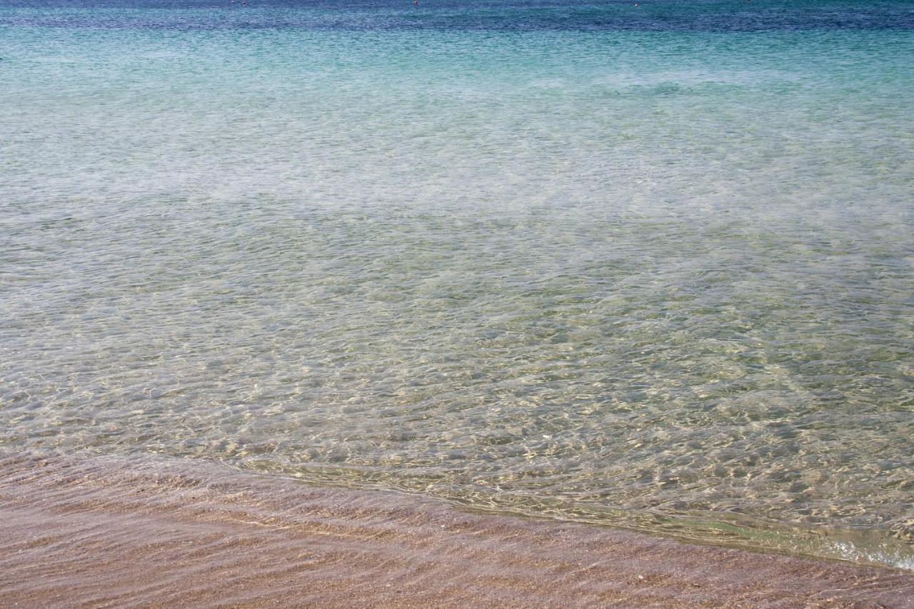 Appartamento Climatizzato A 30 M Dalla Spiaggia Con Vista Mare Torre Mozza Exterior photo